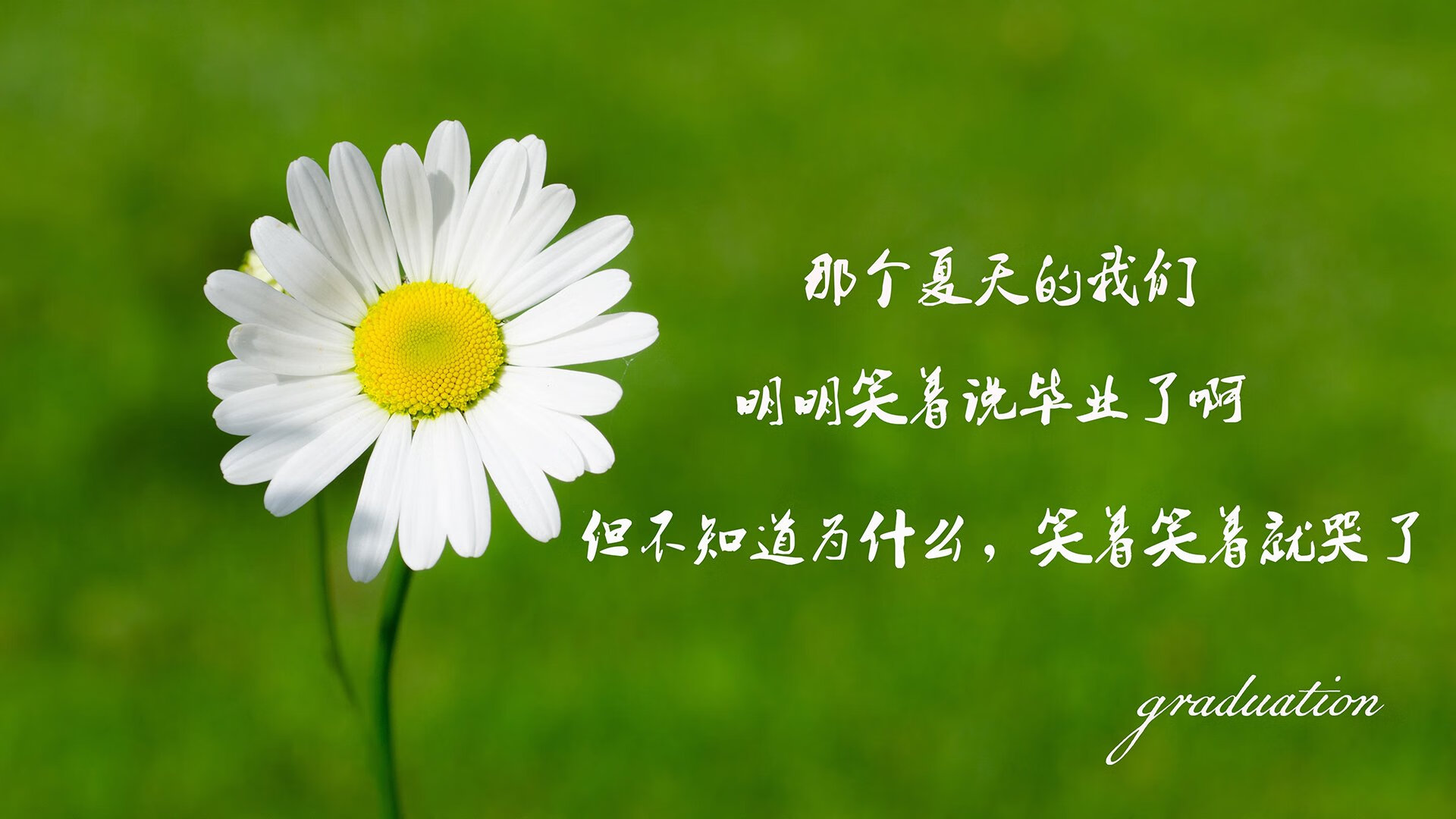 全球电竞明星年度最佳阵容公布，谁才是真正的“全明星”？，电竞界明星