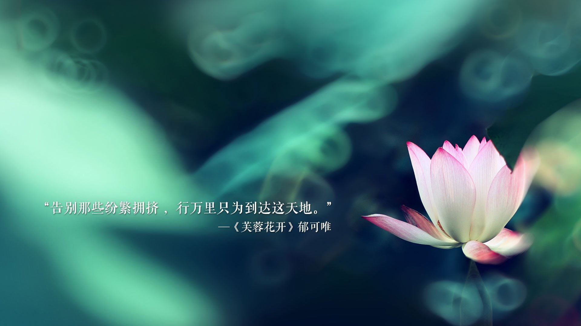 未来“足球皇帝”之路：新秀崭露头角，足坛未来