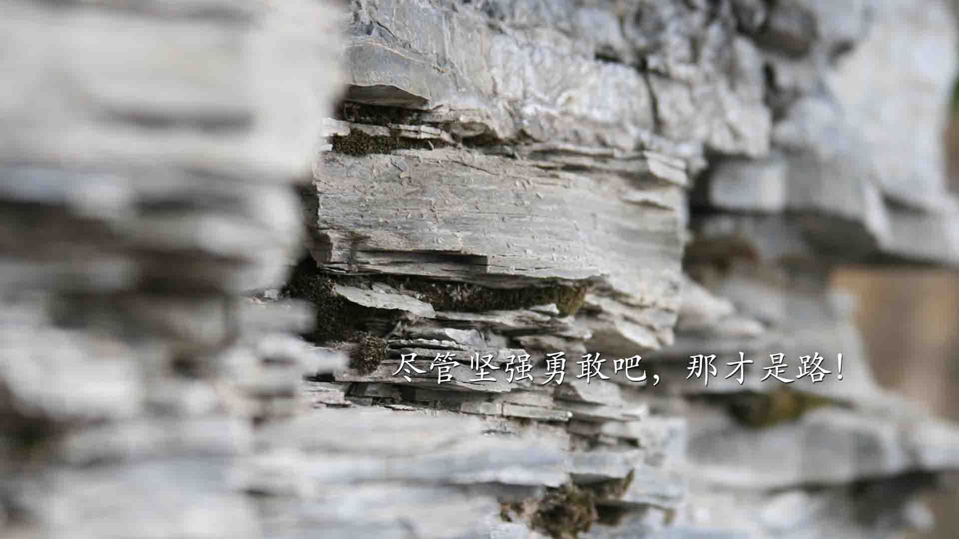 体育赛事品牌社交传播效果监测模型构建,体育赛事的媒体推广