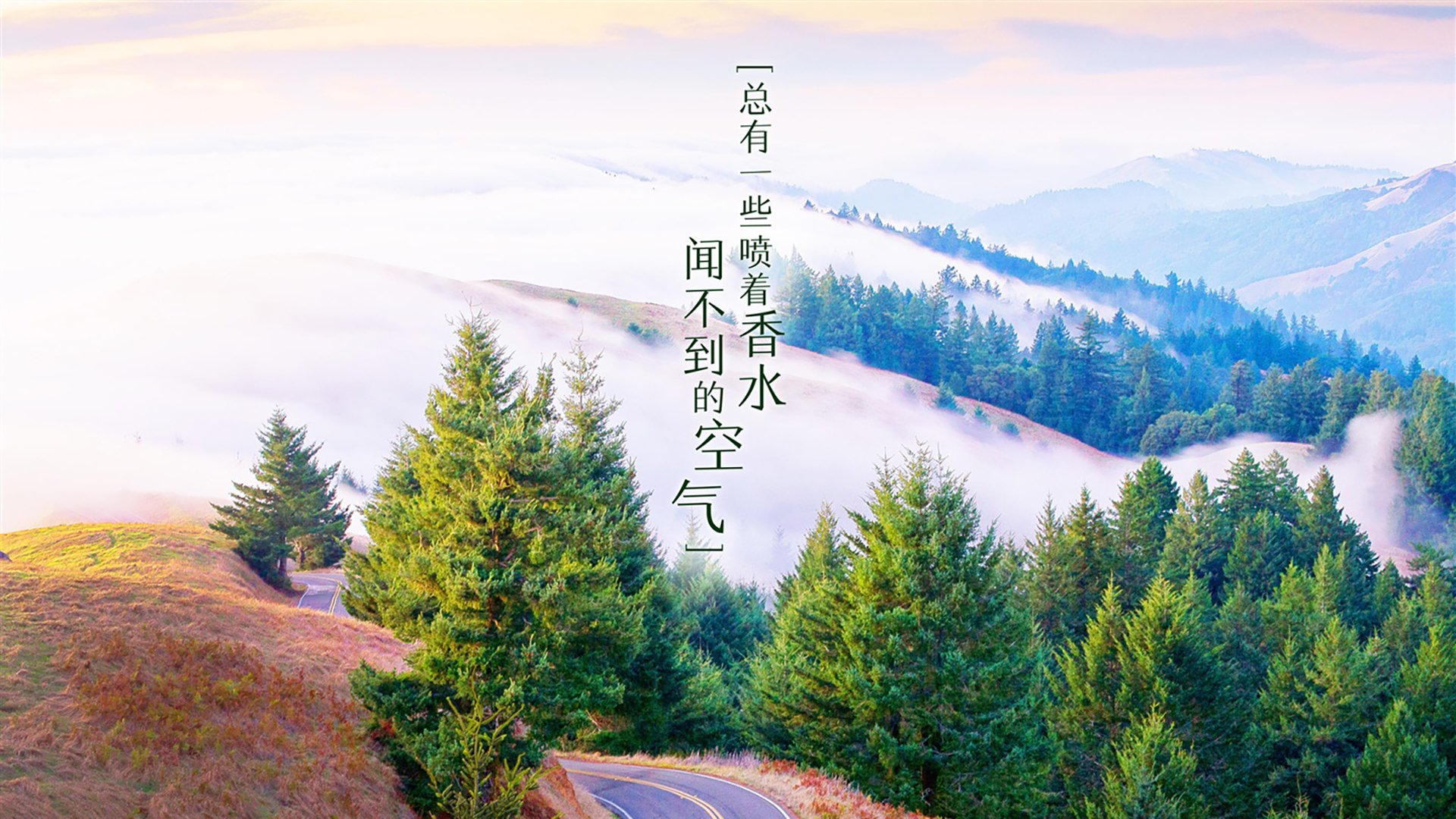 大湾区马拉松创历史最大规模,粤港澳大湾区赛马