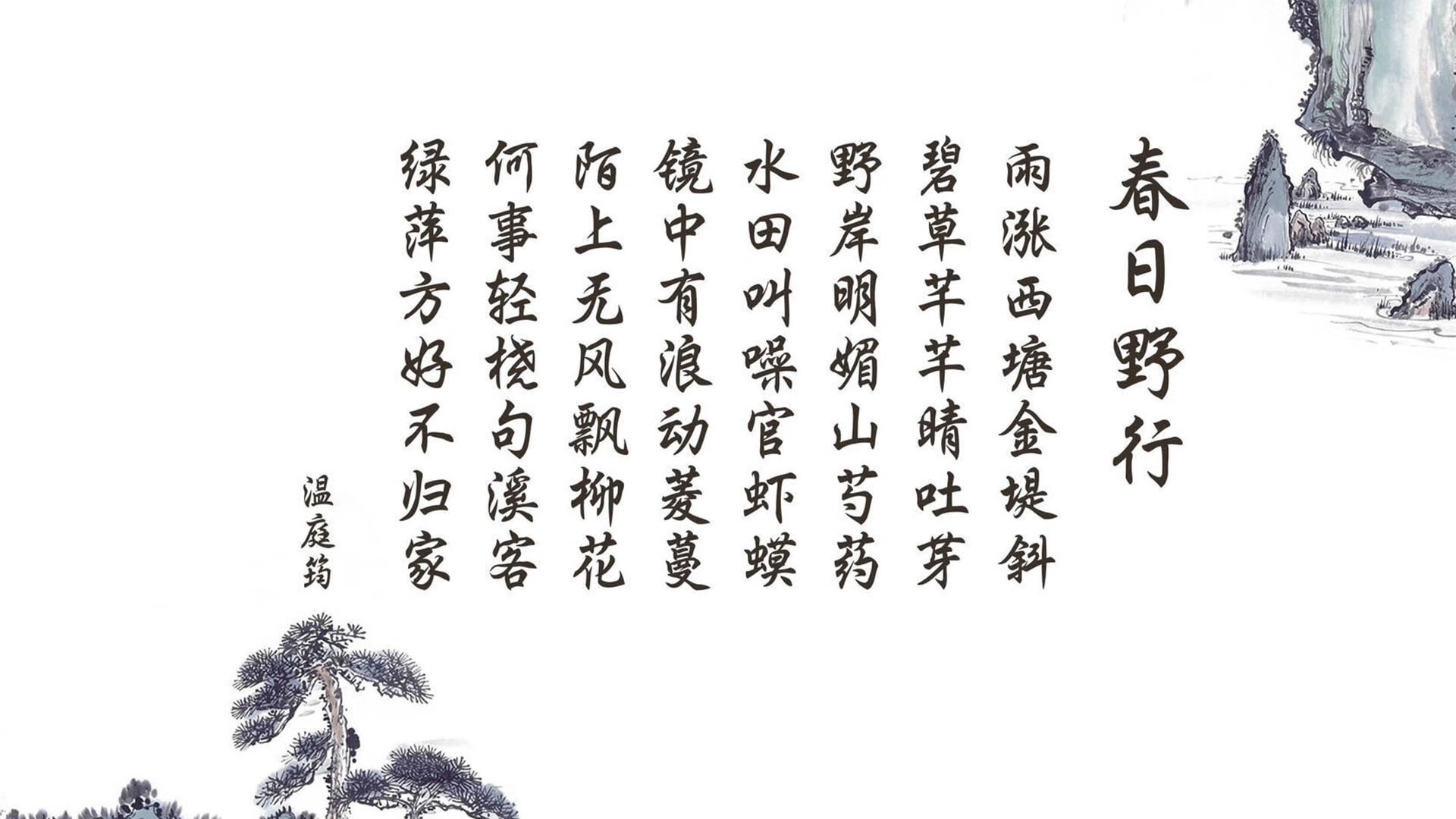 Chinese Taipei团队的未来:从本土强队到世界冠军,taipei of china